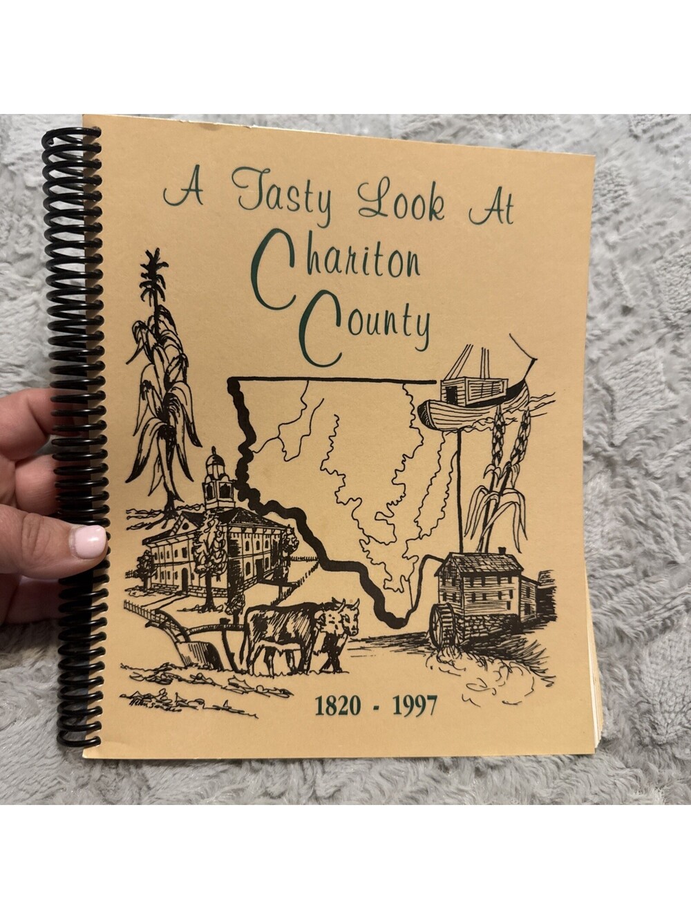 A Tasty Look At Carton County 1997 Cookbook